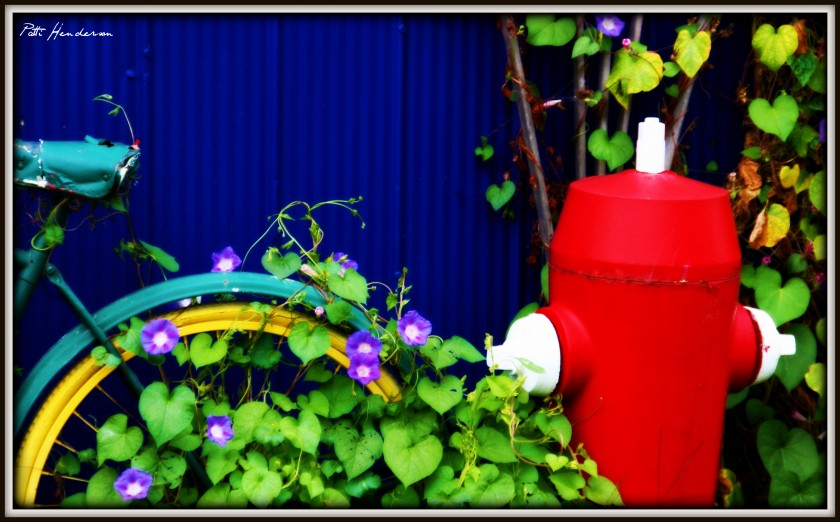 Blue Barn Fire Hydrant