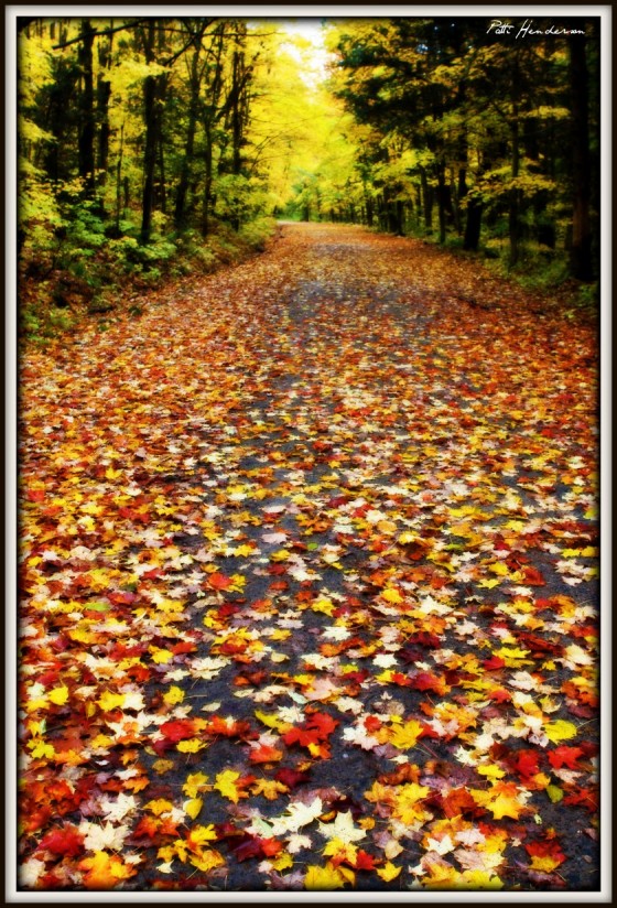 Luckey Road 1