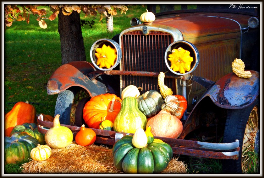 Parson's Fruit Stand 1