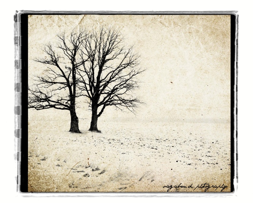 Convergence