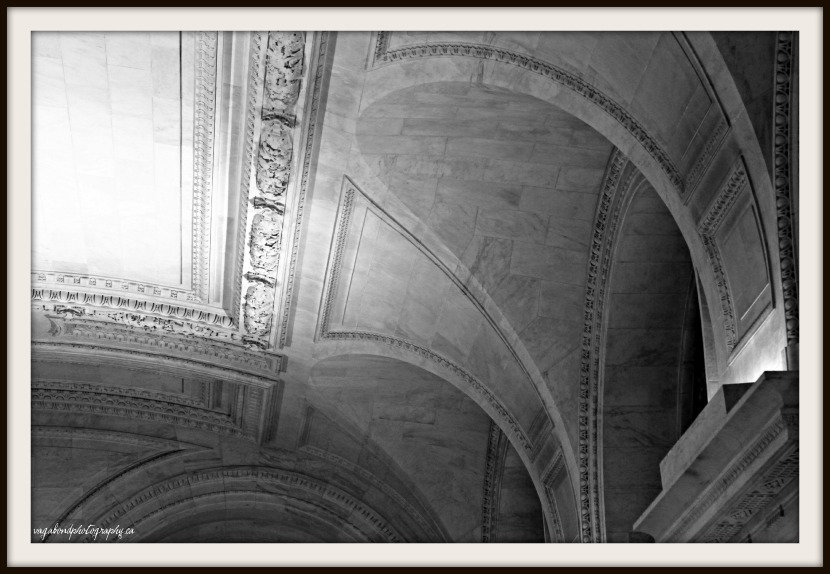 “We Read to Know We Are Not Alone” – C.S. Lewis