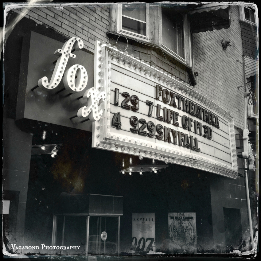 The Life of…The Fox