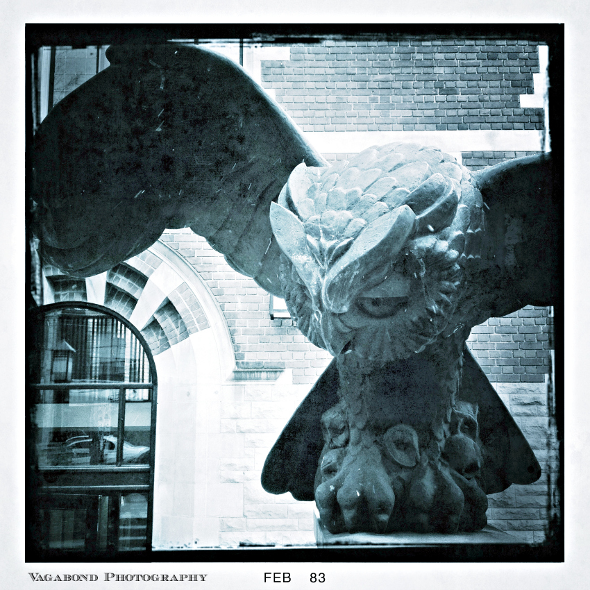 “When In Doubt, Go To The Library” – Ron Weasley, Harry Potter and The Chamber of Secrets