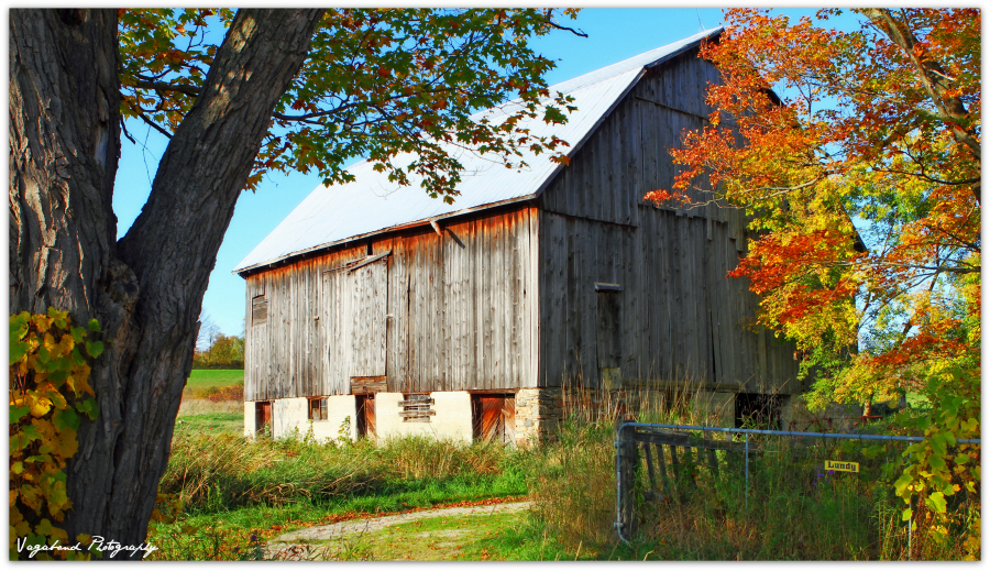 “Inside a Barn is a Whole Universe” – Carolyn Jourdan