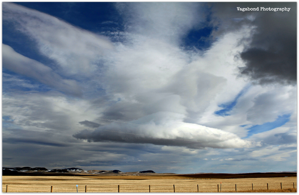“You Can’t Put Your Feet On the Ground Until You’ve Touched the Sky” – Paul Auster