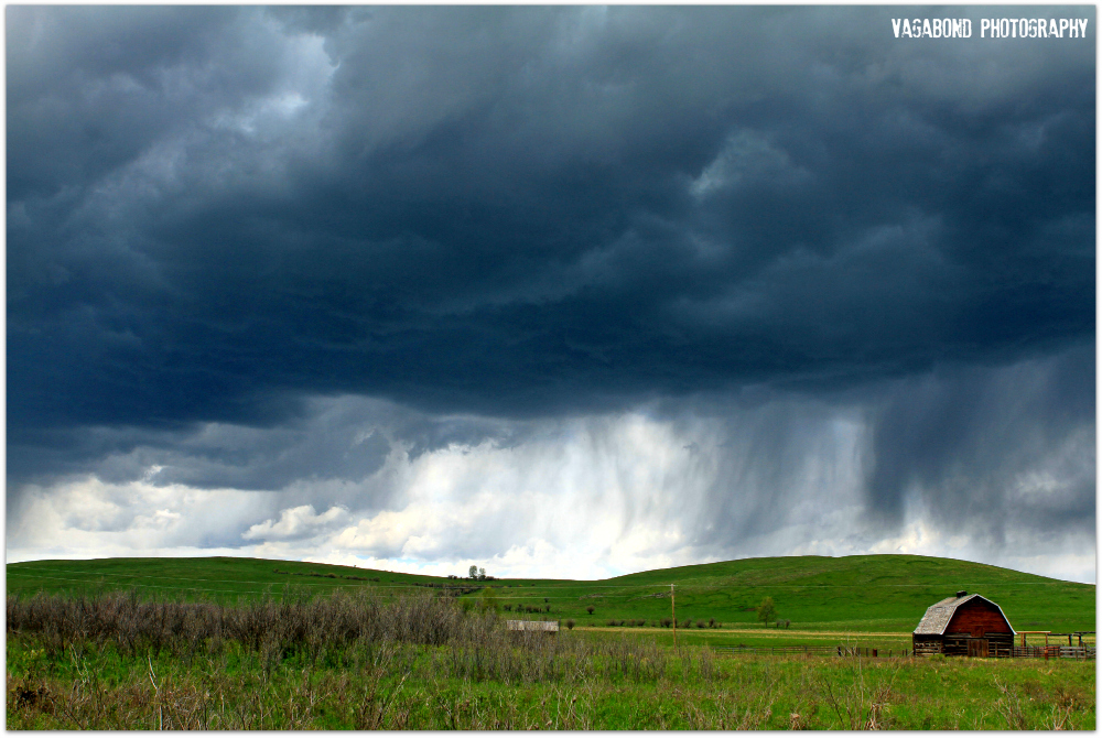 “When You Come Out of the Storm, You Won’t Be the Same Person Who Walked In” – Haruki Murakami
