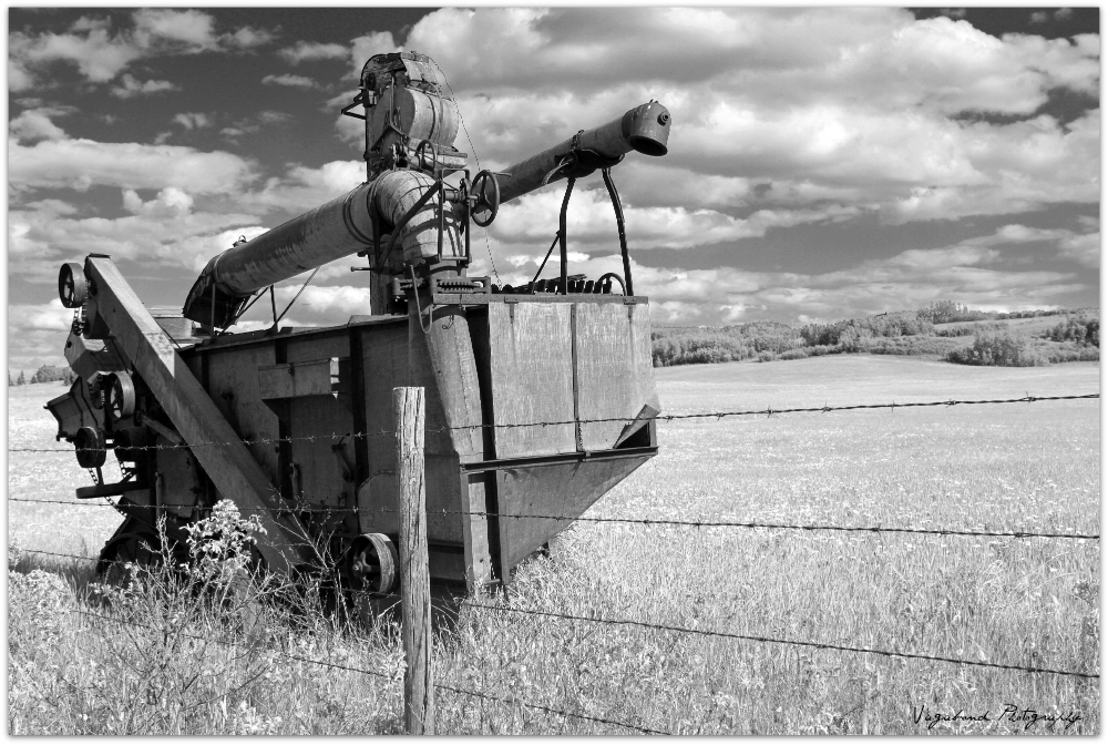 “Farming is a Profession of Hope” – Brian Brett