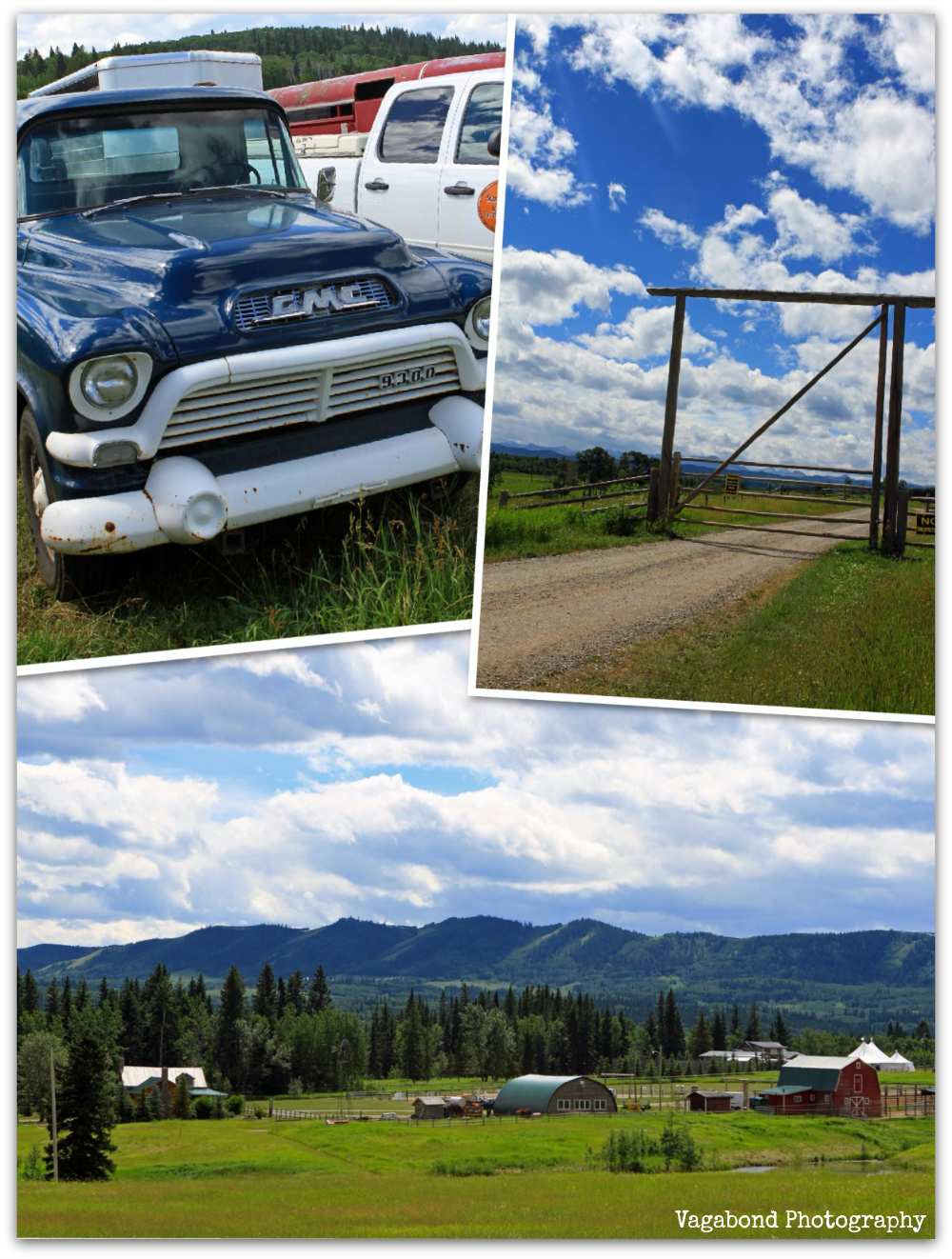 Life in the Heartland