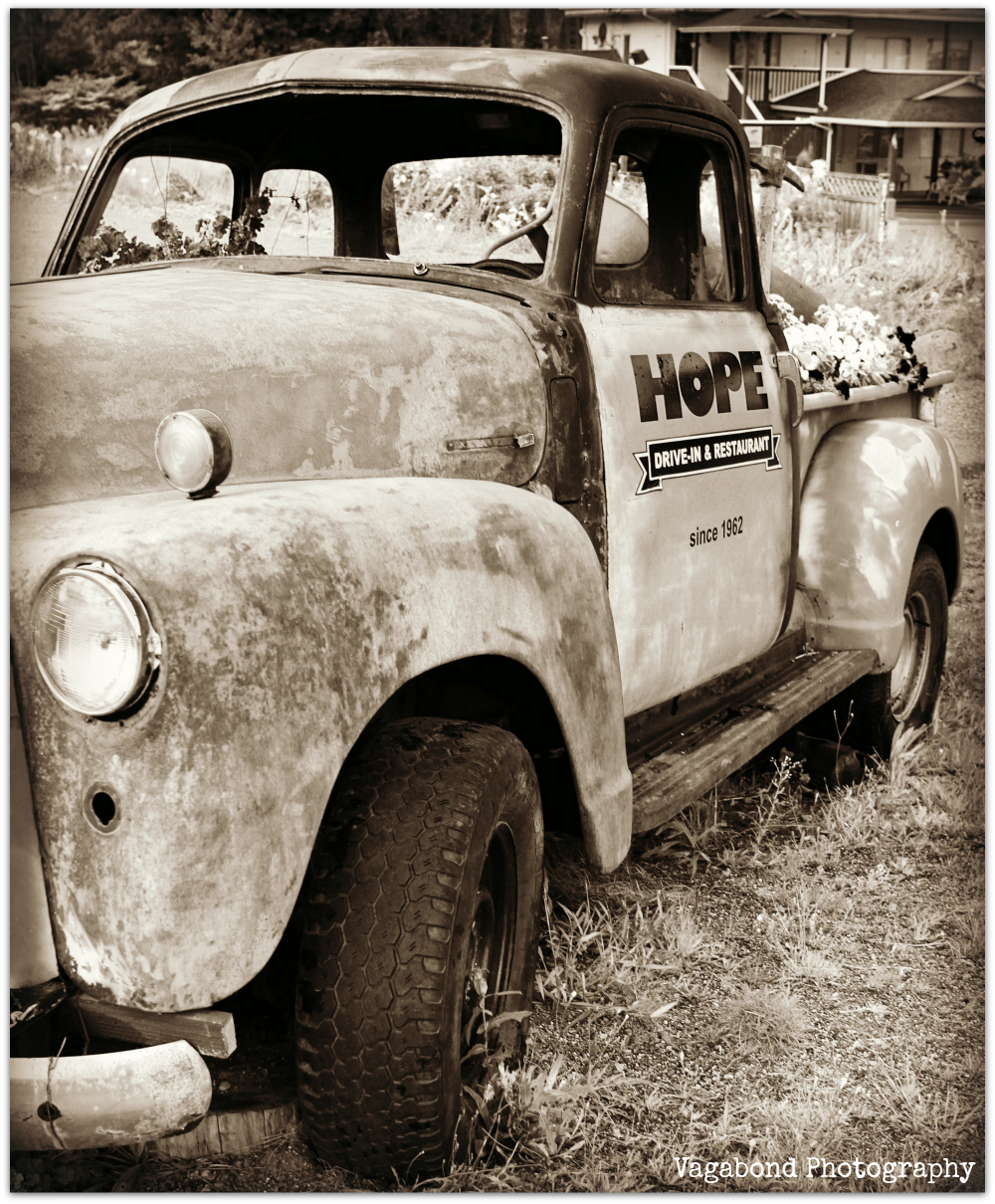 “Hope Springs Eternal” – Alexander Pope