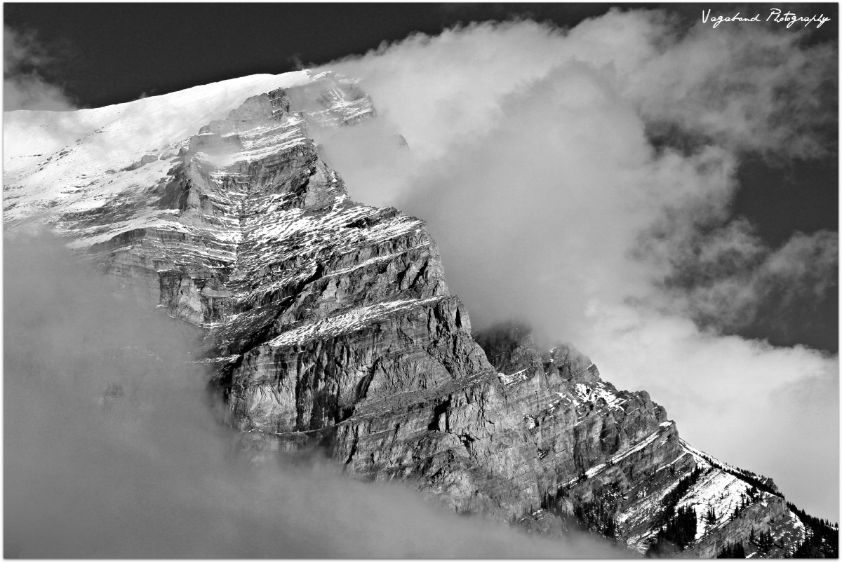 “Life is Your Art.” – Ansel Adams