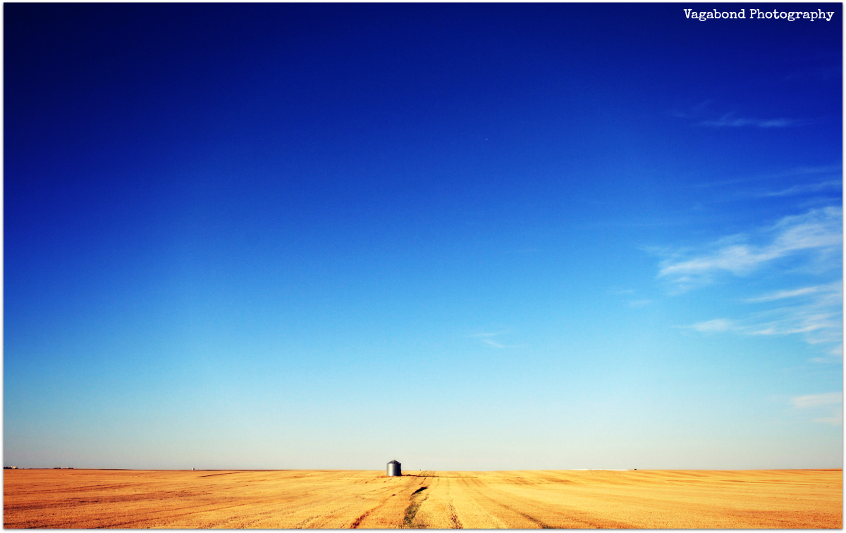 “You are the sky. Everything else is just the weather” – Pema Chodron