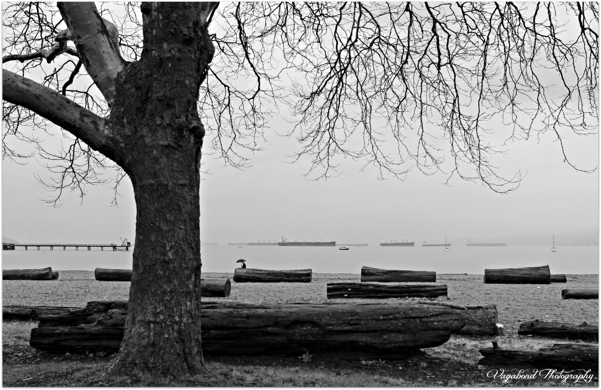 Love Like Rain