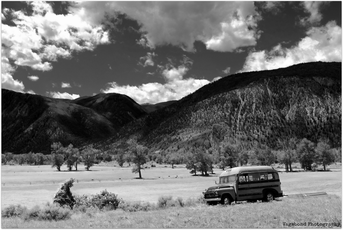“Stuff Your Eyes With Wonder” – Ray Bradbury